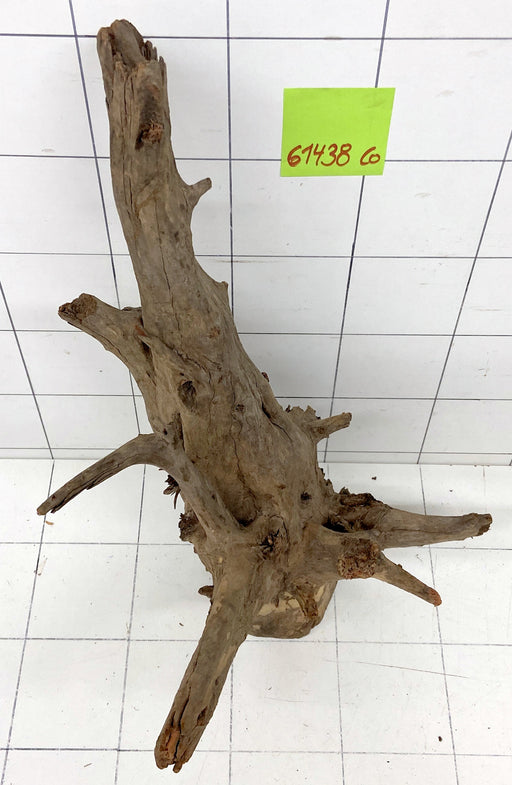 61438CO - Corbo Wurzel Holz XL