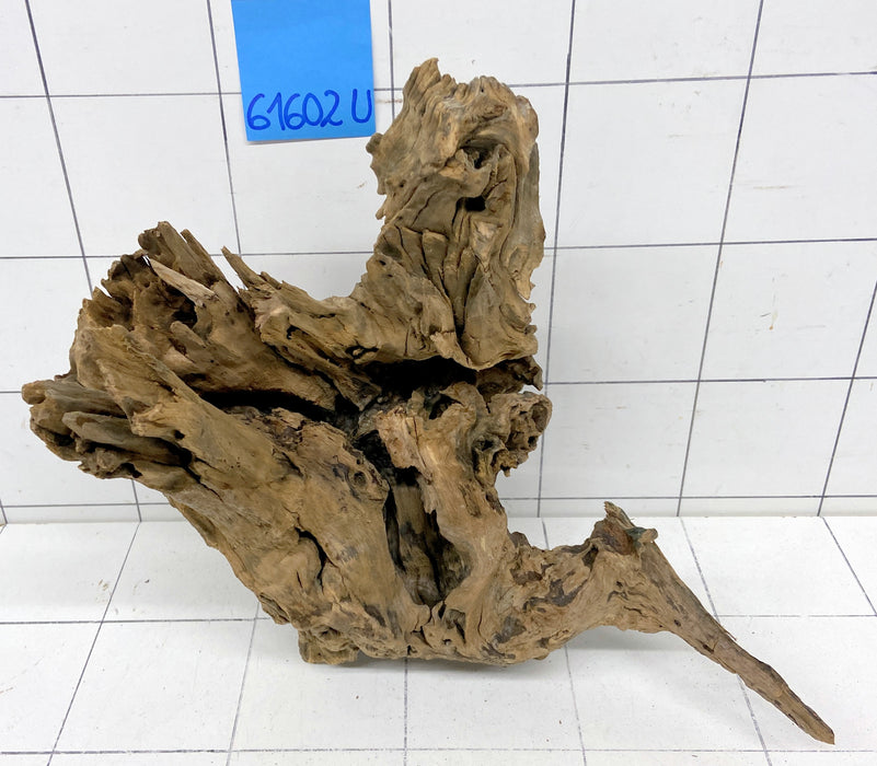 61602U - Ubatuba Wurzel Holz