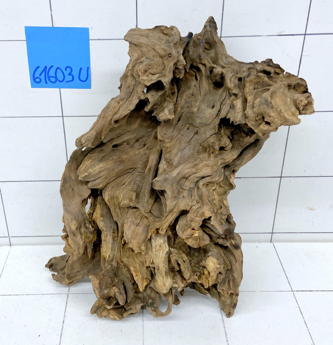 61603U - Ubatuba Wurzel Holz