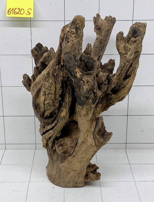 61620S Samoa Wurzel Holz XL