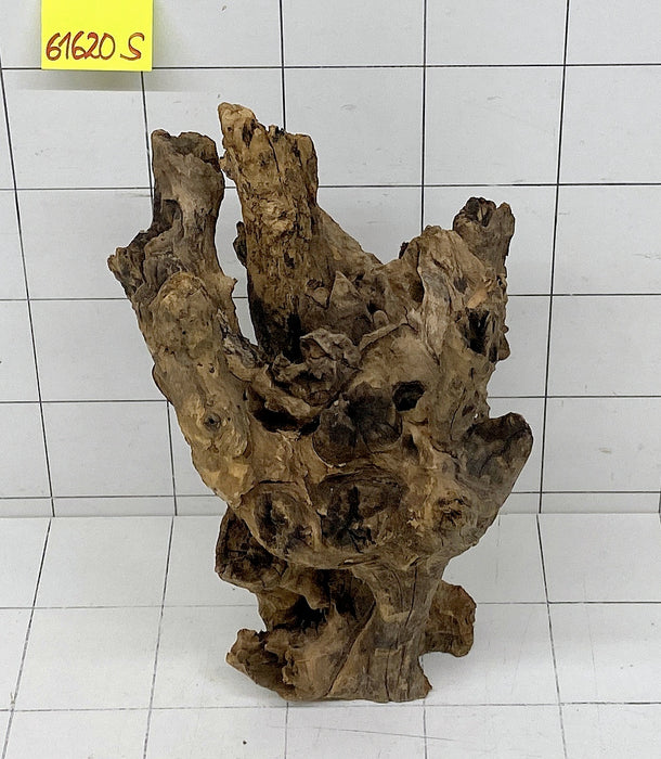 61620S Samoa Wurzel Holz XL