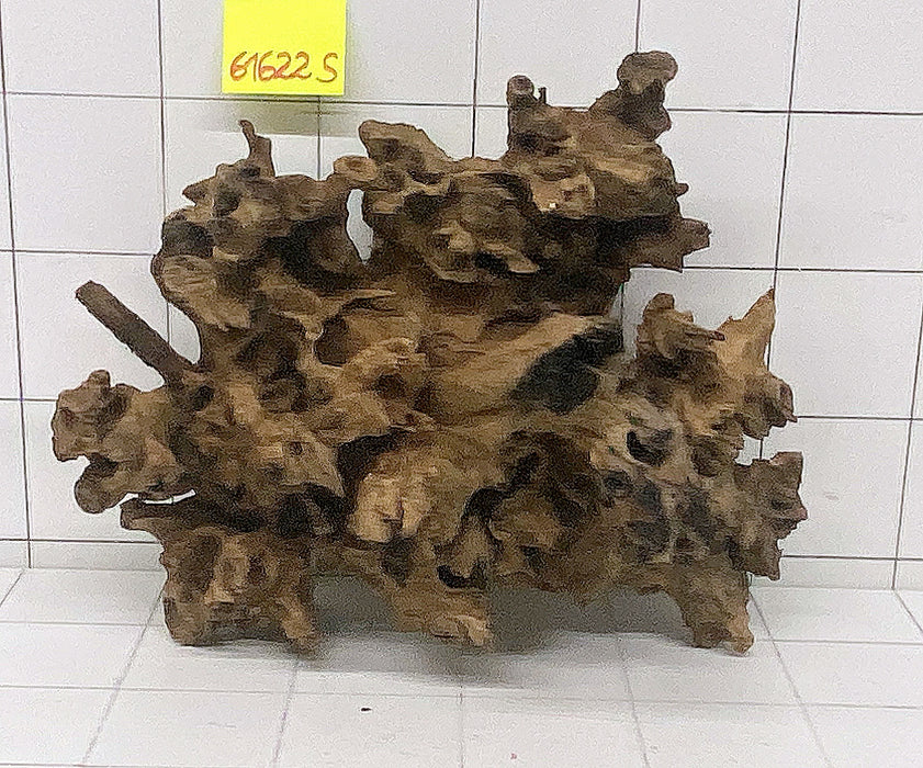 61622S Samoa Wurzel Holz XL