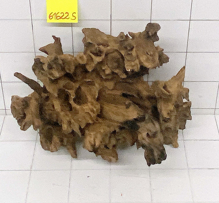 61622S Samoa Wurzel Holz XL