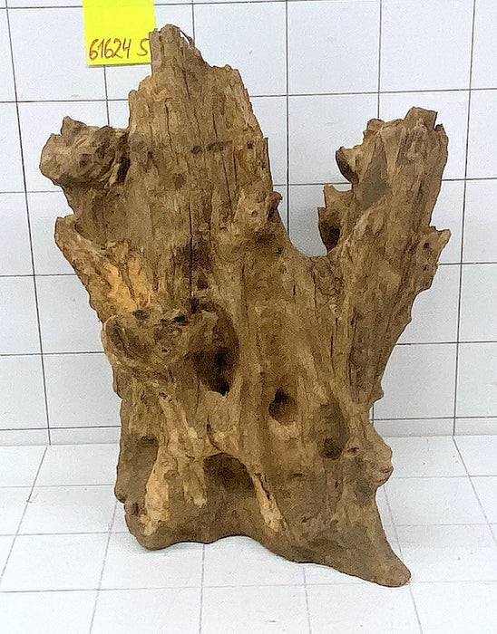 61624S Samoa Wurzel Holz XXL
