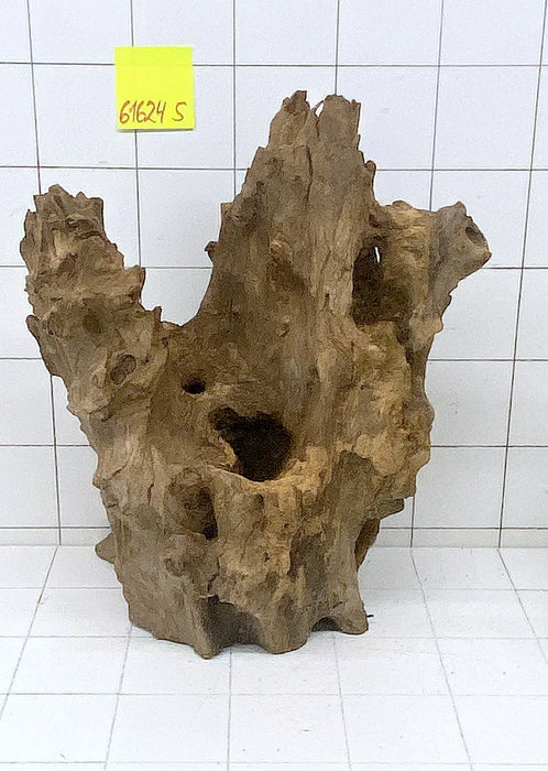 61624S Samoa Wurzel Holz XXL