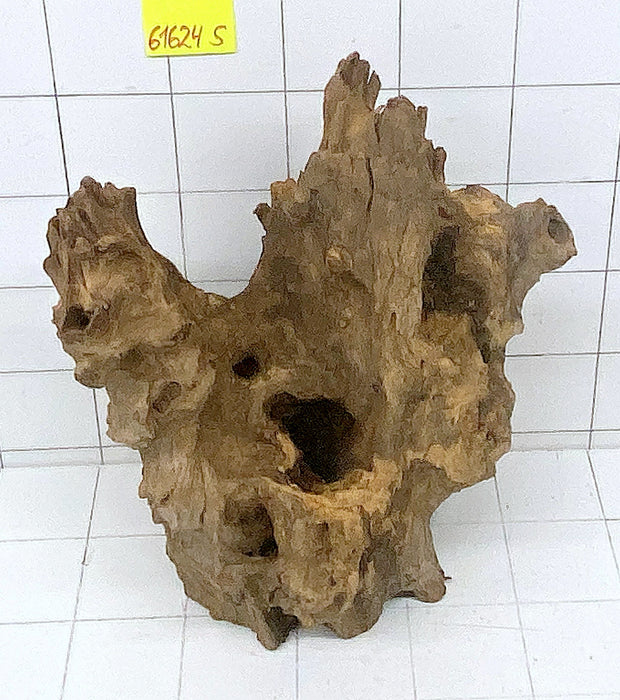 61624S Samoa Wurzel Holz XXL