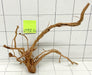 61702Cu - Curlwood Wurzel Holz