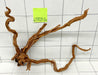 61703Cu - Curlwood Wurzel Holz