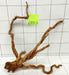 61703Cu - Curlwood Wurzel Holz