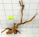 61706Cu - Curlwood Wurzel Holz