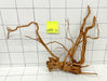 61711Cu - Curlwood Wurzel Holz