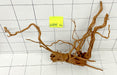 61711Cu - Curlwood Wurzel Holz