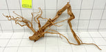 61723Cu - Curlwood Wurzel Holz