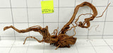 61724Cu - Curlwood Wurzel Holz