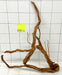 61729Cu - Curlwood Wurzel Holz