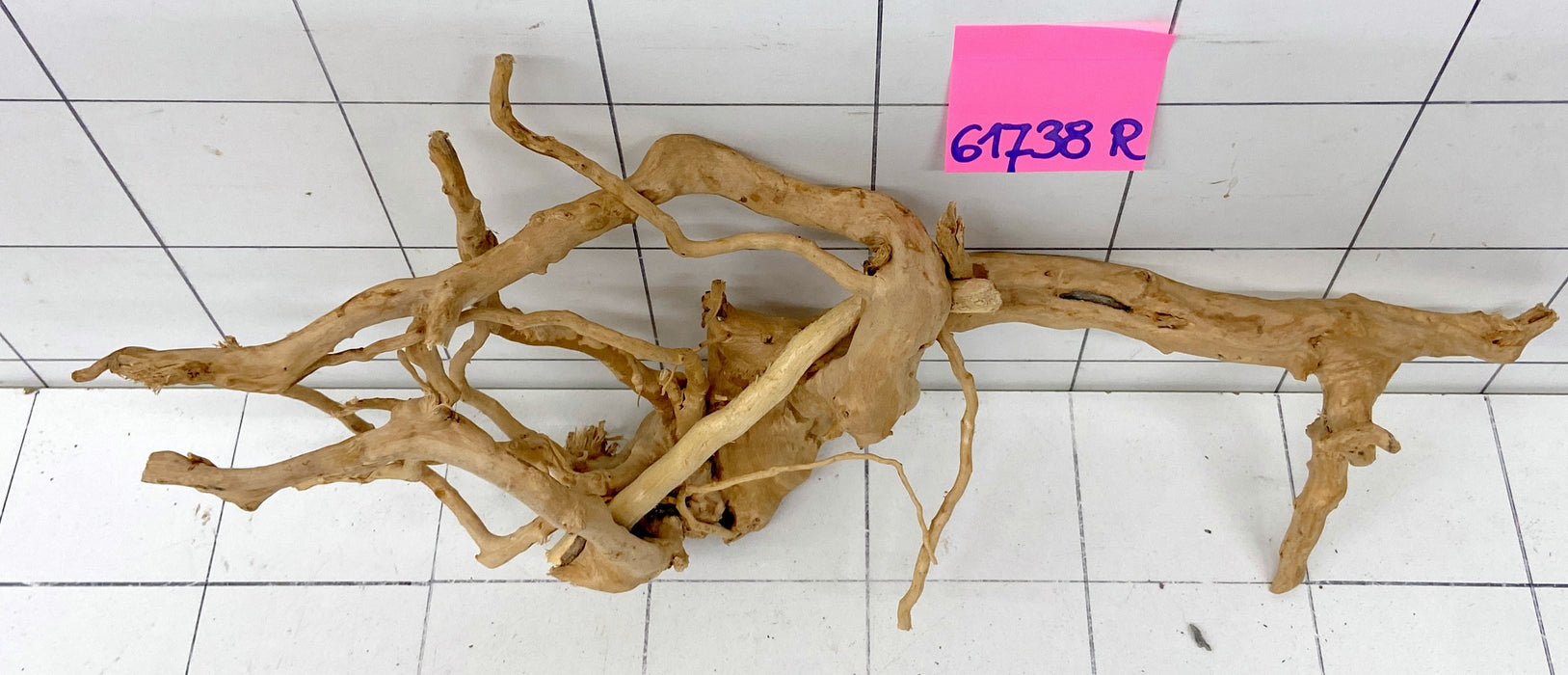 61738R Fingerwood / Rote Moorwurzel Holz