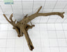 61773CO - Corbo Wurzel Holz XL