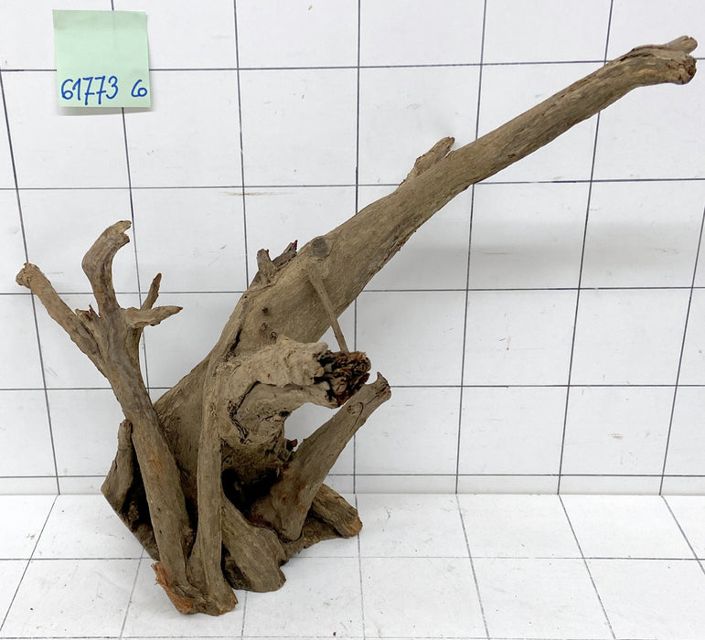 61773CO - Corbo Wurzel Holz XL