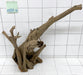 61773CO - Corbo Wurzel Holz XL
