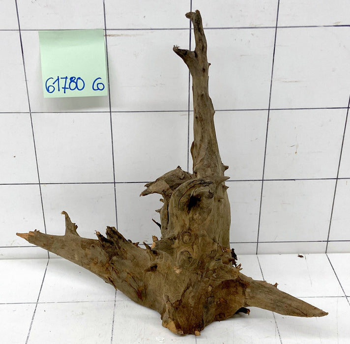 61780CO - Corbo Wurzel Holz
