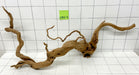 61902R Fingerwood / Rote Moorwurzel Holz XL