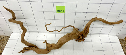 61902R Fingerwood / Rote Moorwurzel Holz XL