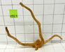 61907R Fingerwood / Rote Moorwurzel Holz