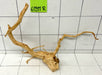 61911R Fingerwood / Rote Moorwurzel Holz