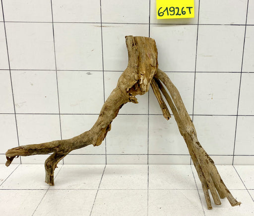 61926T Talawa Wurzel Holz