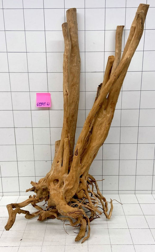 61941W Wood Stump Wurzelholz XXL