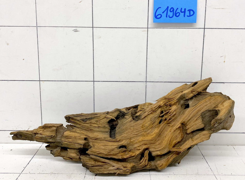 61964D - Drachenholz / Dragonwood
