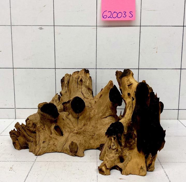 62003 S Samoa Wurzel Holz
