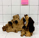62003 S Samoa Wurzel Holz