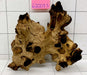 62003 S Samoa Wurzel Holz