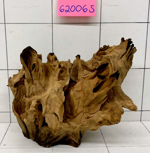 62006 S Samoa Wurzel Holz