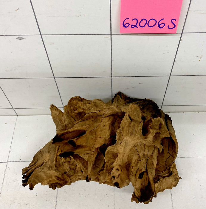 62006 S Samoa Wurzel Holz
