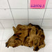 62006 S Samoa Wurzel Holz