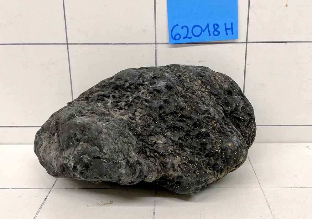 62018H Hakkai Stone Flussstein