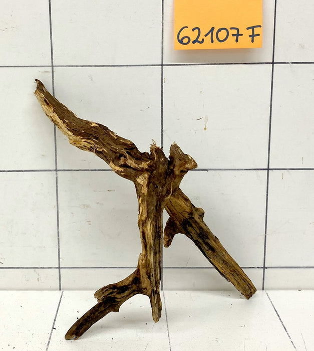62107F Flussholz / Driftwood / Flusswurzel