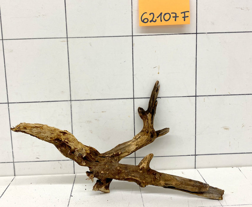 62107F Flussholz / Driftwood / Flusswurzel