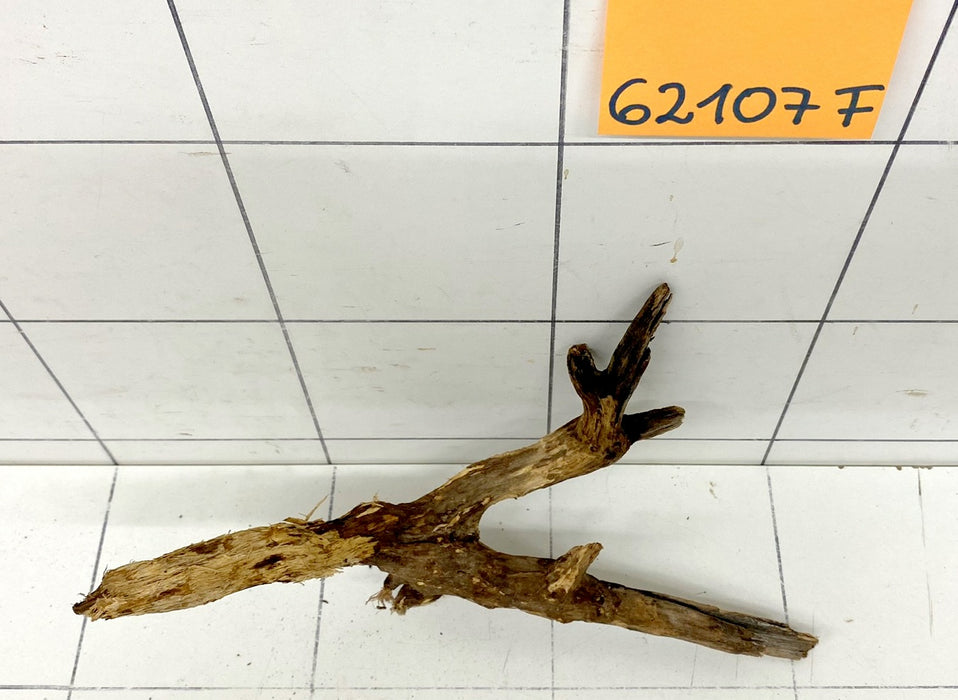 62107F Flussholz / Driftwood / Flusswurzel