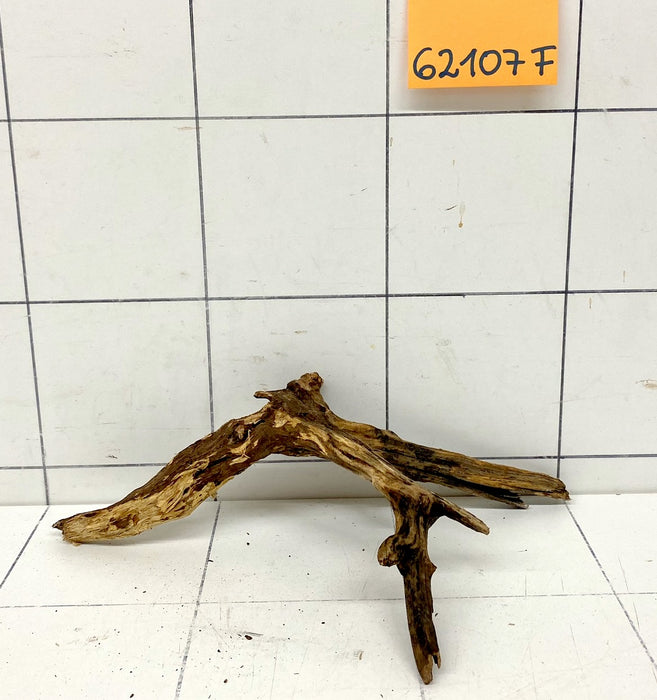 62107F Flussholz / Driftwood / Flusswurzel