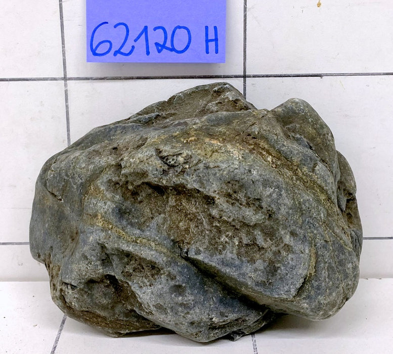 62120 H Hakkai Stone Flussstein