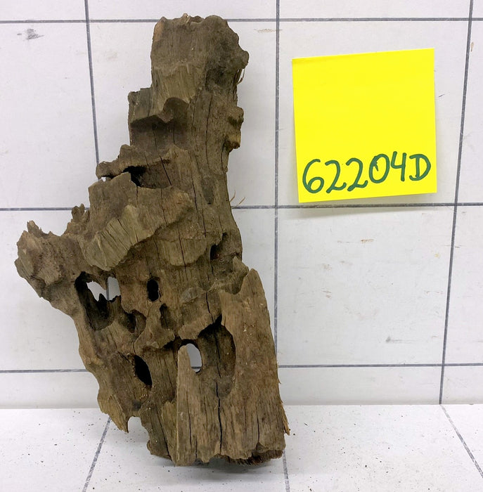 62204D - Drachenholz / Dragonwood