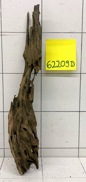 62209D - Drachenholz / Dragonwood