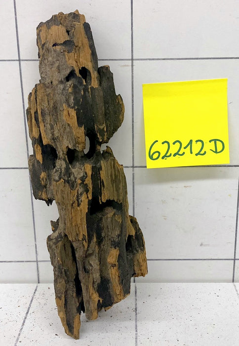 62212D - Drachenholz / Dragonwood
