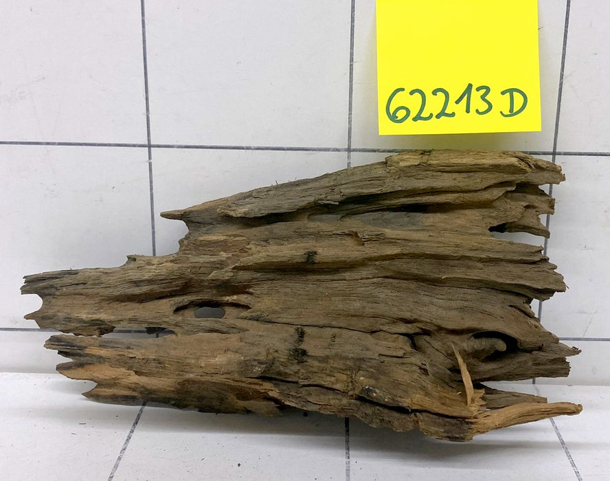 62214D - Drachenholz  Dragonwood