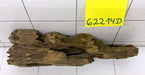 62214D - Drachenholz  Dragonwood
