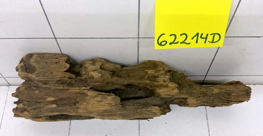 62214D - Drachenholz  Dragonwood
