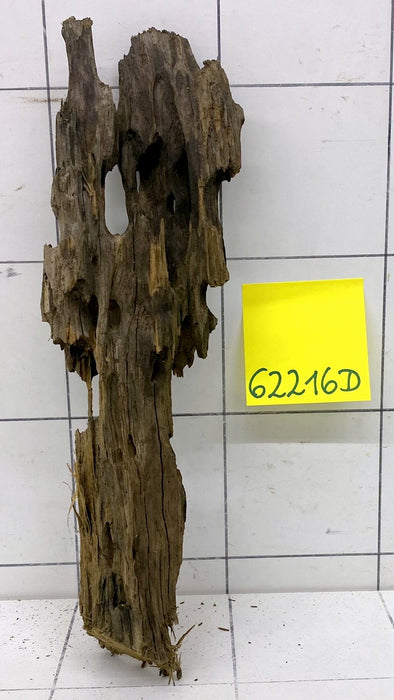 62216D - Drachenholz / Dragonwood